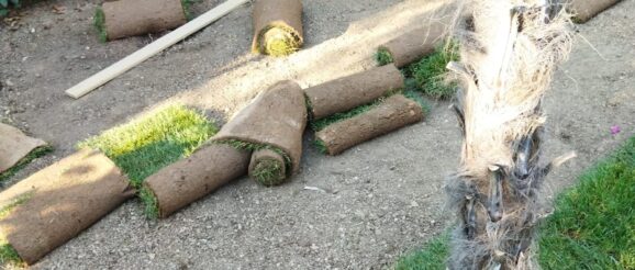 Tekirdağ Peyzaj Firması Tekirdağ Peyzaj Firması
