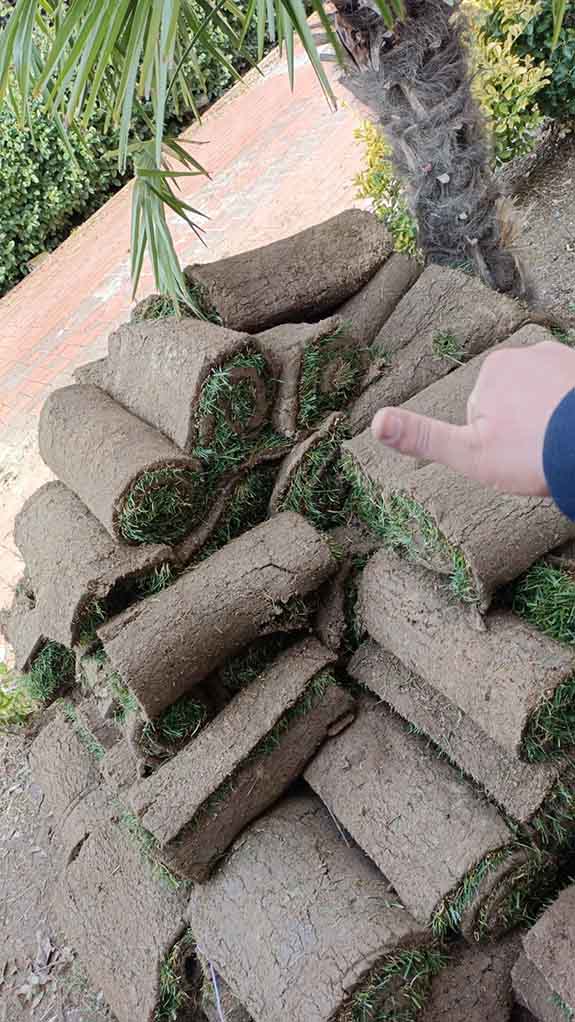 Büyükçekmece Hazır Rulo Çim Temini Uygulaması