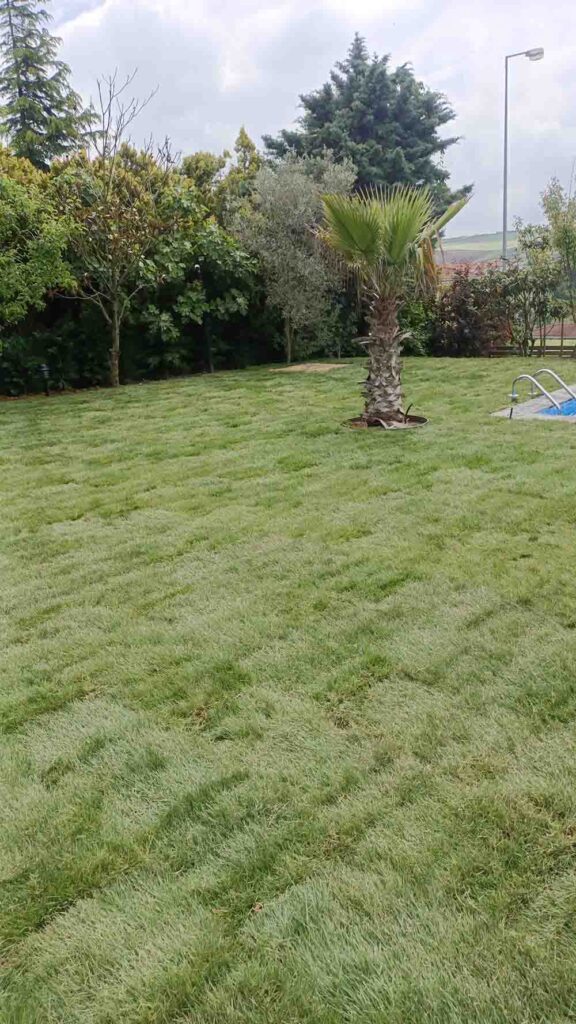 Bahce Peyzaj Son Hali